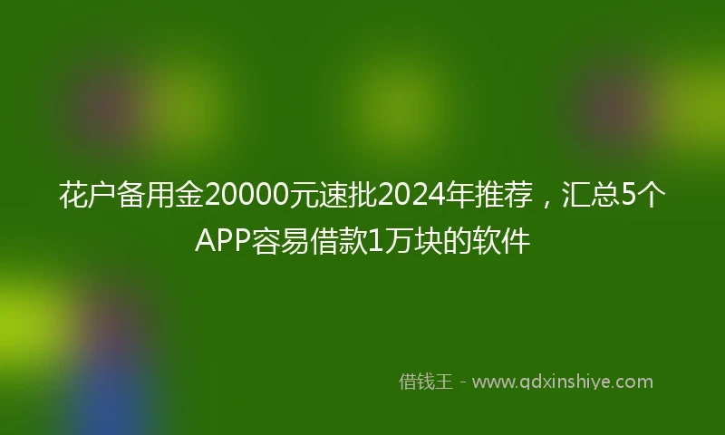 花户备用金20000元速批2024年推荐，汇总5个APP容易借款1万块的软件