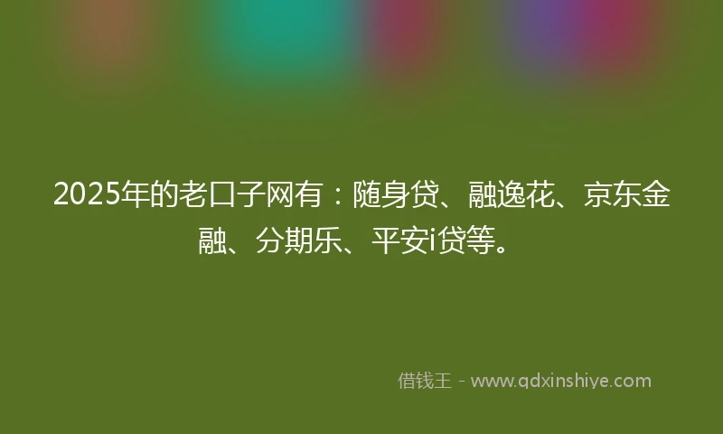 2025年的老口子网有：随身贷、融逸花、京东金融、分期乐、平安i贷等。