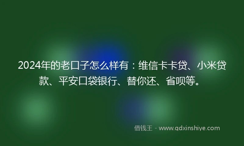 2024年的老口子怎么样有：维信卡卡贷、小米贷款、平安口袋银行、替你还、省呗等。