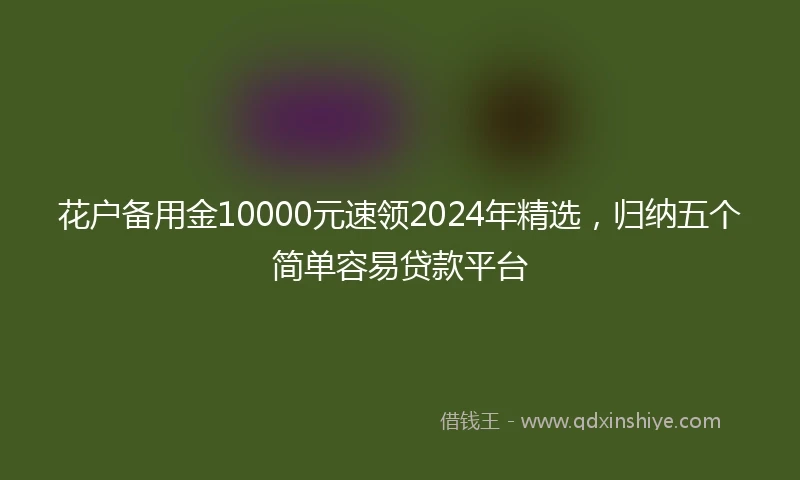 花户备用金10000元速领2024年精选，归纳五个简单容易贷款平台