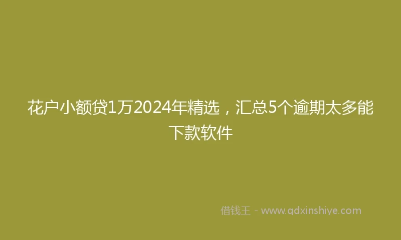 花户小额贷1万2024年精选,汇总5个逾期太多能下款软件
