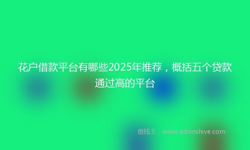 花户借款平台有哪些2025年推荐，概括五个贷款通过高的平台