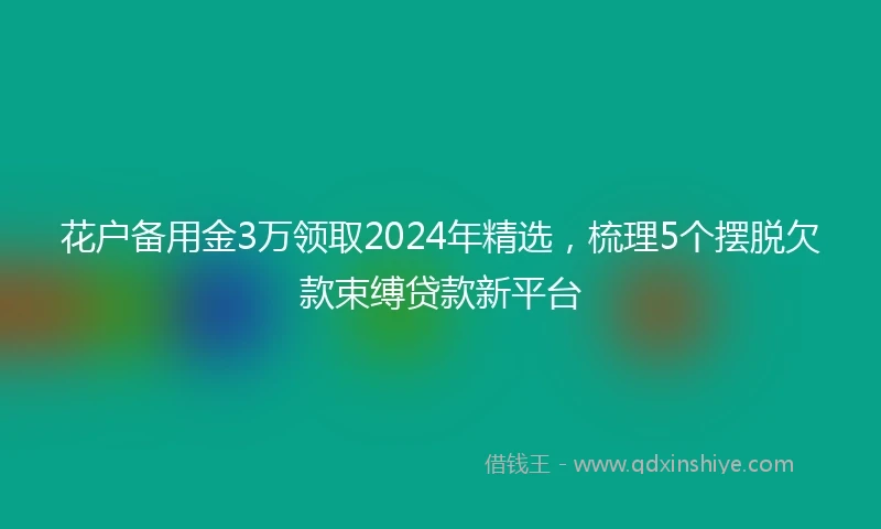 花户备用金3万领取2024年精选，梳理5个摆脱欠款束缚贷款新平台