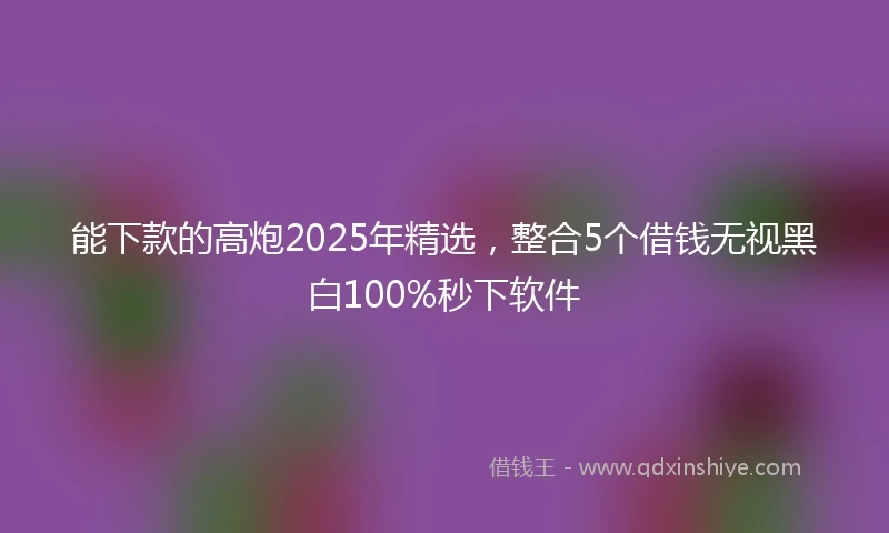 能下款的高炮2025年精选，整合5个借钱无视黑白100%秒下软件