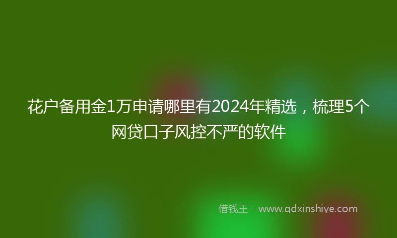 花户备用金1万申请哪里有2024年精选，梳理5个网贷口子风控不严的软件