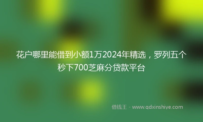 花户哪里能借到小额1万2024年精选，罗列五个秒下700芝麻分贷款平台