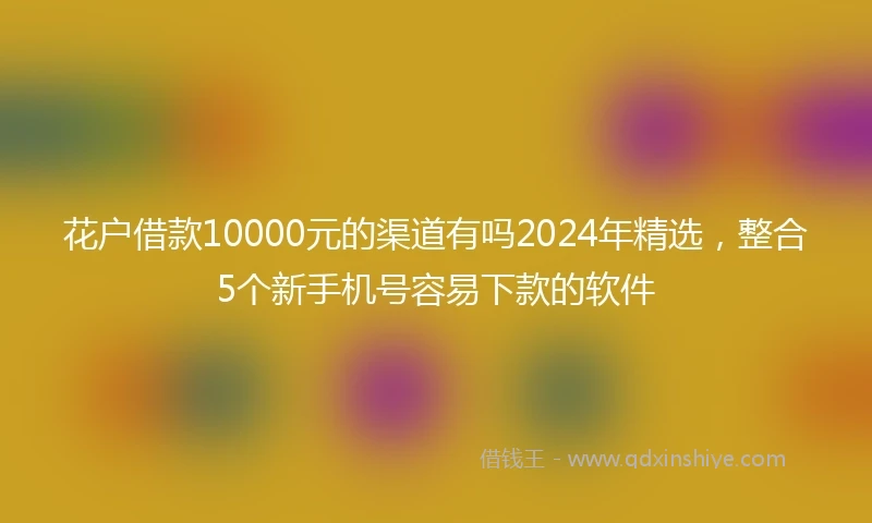 花户借款10000元的渠道有吗2024年精选，整合5个新手机号容易下款的软件
