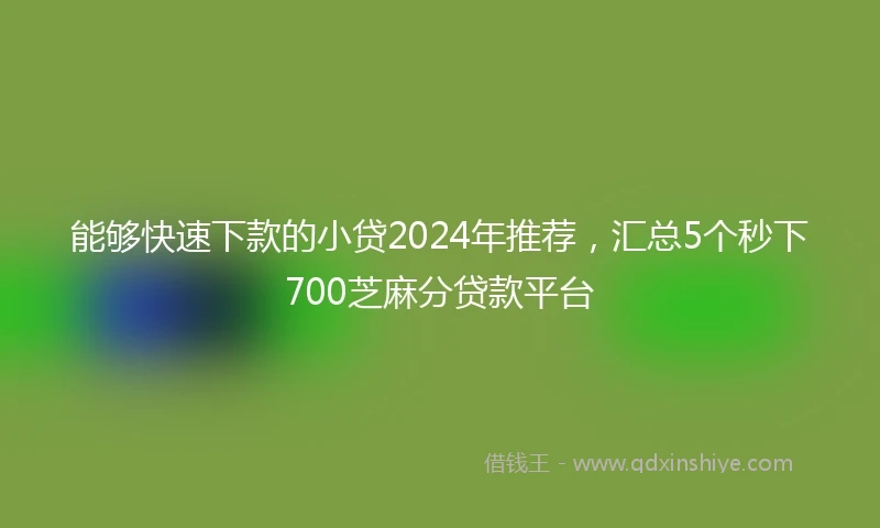 能够快速下款的小贷2024年推荐，汇总5个秒下700芝麻分贷款平台