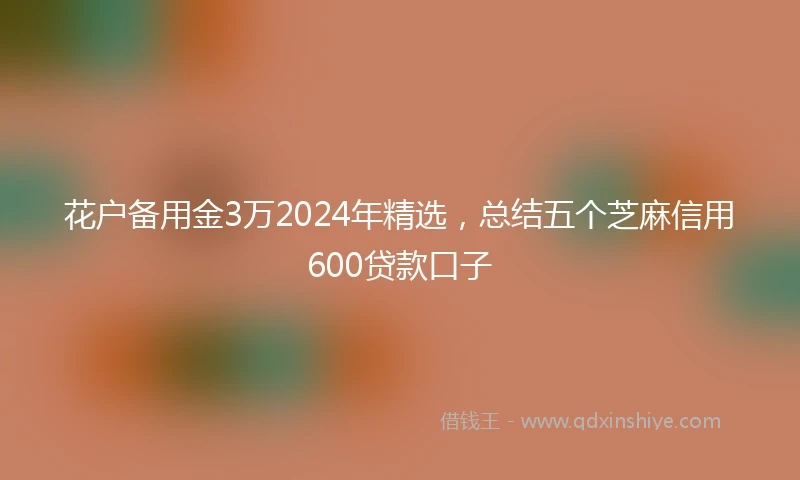 花户备用金3万2024年精选,总结五个芝麻信用600贷款口子