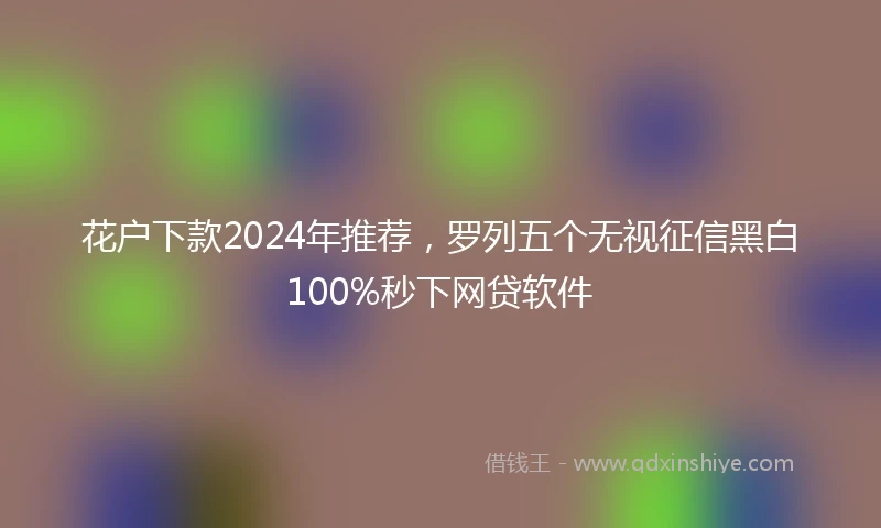 花户下款2024年推荐，罗列五个无视征信黑白100%秒下网贷软件