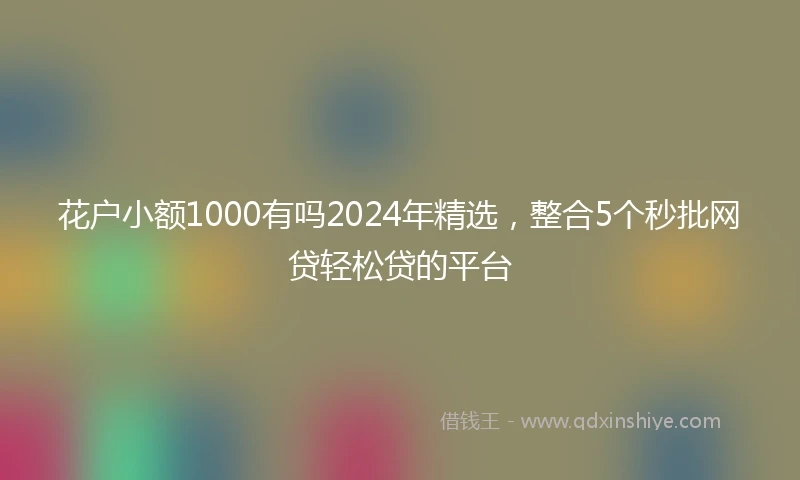 花户小额1000有吗2024年精选，整合5个秒批网贷轻松贷的平台