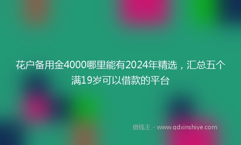 花户备用金4000哪里能有2024年精选，汇总五个满19岁可以借款的平台