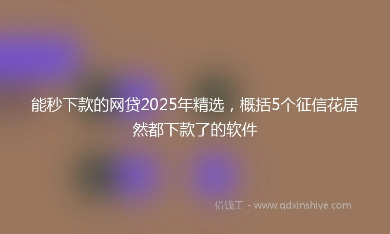 能秒下款的网贷2025年精选，概括5个征信花居然都下款了的软件