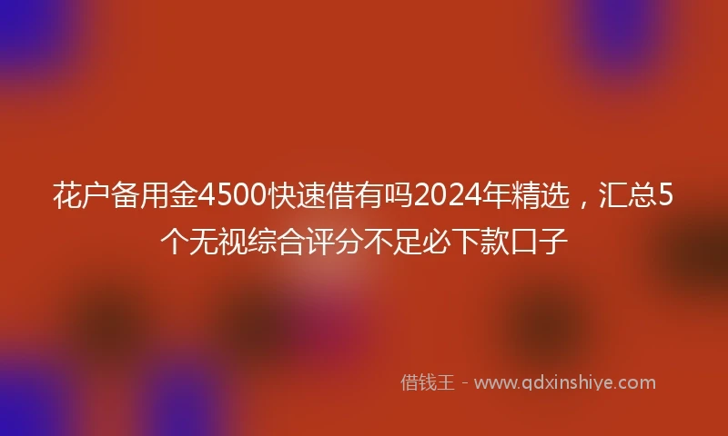 花户备用金4500快速借有吗2024年精选，汇总5个无视综合评分不足必下款口子