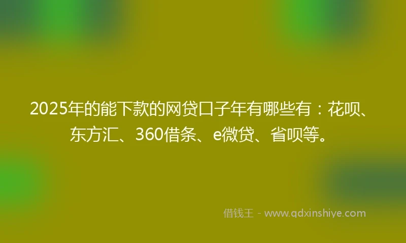 2025年的能下款的网贷口子年有哪些有：花呗、东方汇、360借条、e微贷、省呗等。