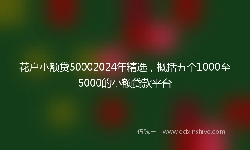 花户小额贷50002024年精选，概括五个1000至5000的小额贷款平台
