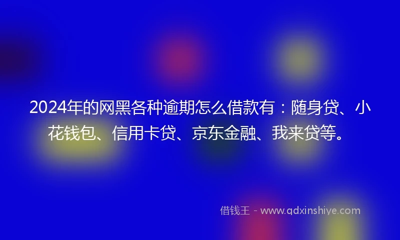 2024年的网黑各种逾期怎么借款有：随身贷、小花钱包、信用卡贷、京东金融、我来贷等。