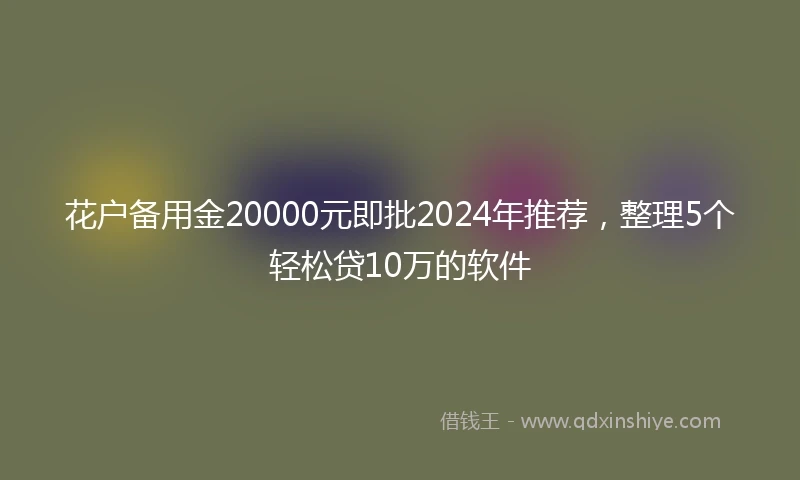 花户备用金20000元即批2024年推荐，整理5个轻松贷10万的软件