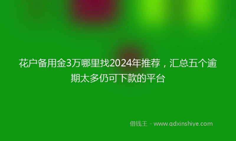 花户备用金3万哪里找2024年推荐，汇总五个逾期太多仍可下款的平台