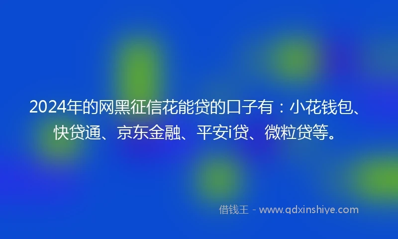 2024年的网黑征信花能贷的口子有：小花钱包、快贷通、京东金融、平安i贷、微粒贷等。