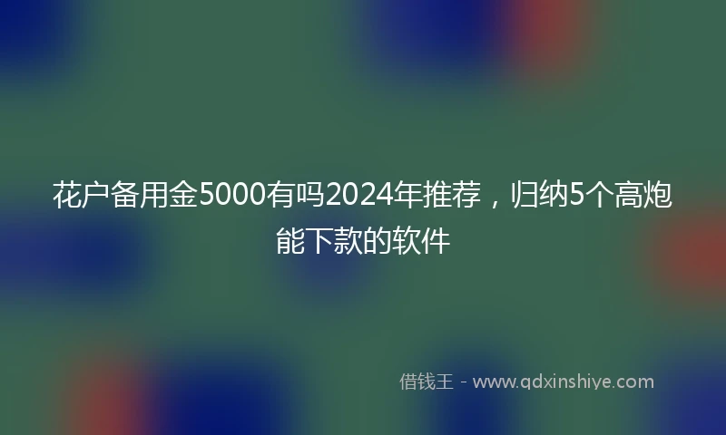 花户备用金5000有吗2024年推荐，归纳5个高炮能下款的软件