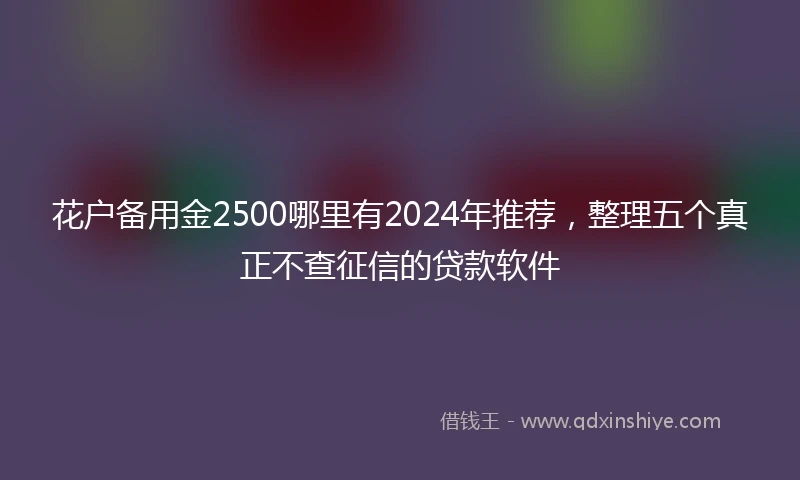 花户备用金2500哪里有2024年推荐，整理五个真正不查征信的贷款软件