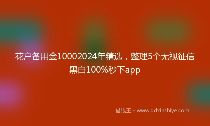 花户备用金10002024年精选，整理5个无视征信黑白100%秒下app