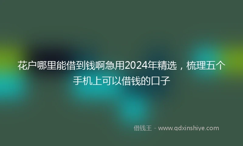 花户哪里能借到钱啊急用2024年精选，梳理五个手机上可以借钱的口子
