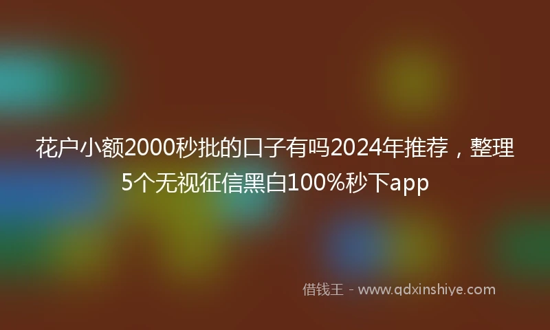 花户小额2000秒批的口子有吗2024年推荐，整理5个无视征信黑白100%秒下app