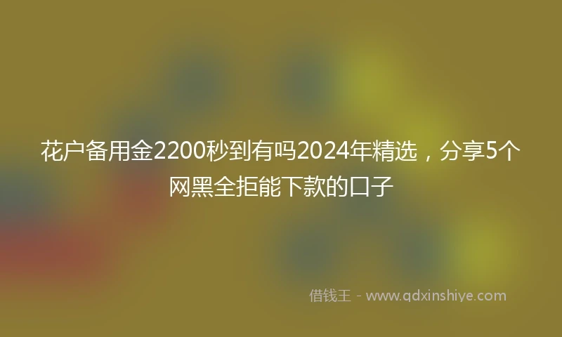 花户备用金2200秒到有吗2024年精选，分享5个网黑全拒能下款的口子