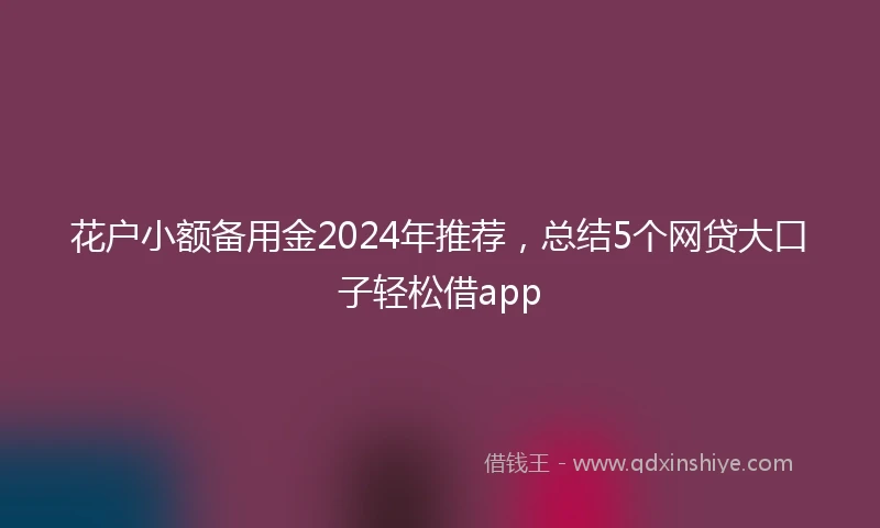 花户小额备用金2024年推荐，总结5个网贷大口子轻松借app