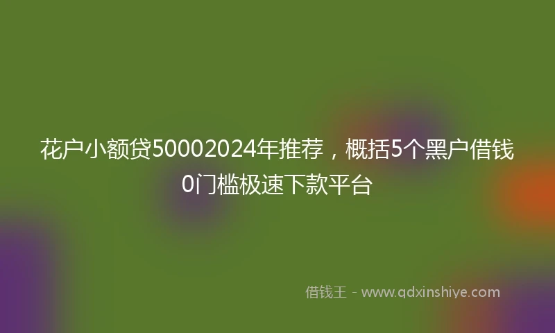 花户小额贷50002024年推荐，概括5个黑户借钱0门槛极速下款平台