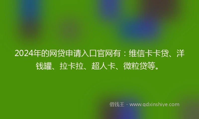 2024年的网贷申请入口官网有：维信卡卡贷、洋钱罐、拉卡拉、超人卡、微粒贷等。