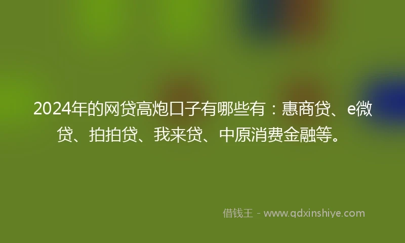 2024年的网贷高炮口子有哪些有：惠商贷、e微贷、拍拍贷、我来贷、中原消费金融等。