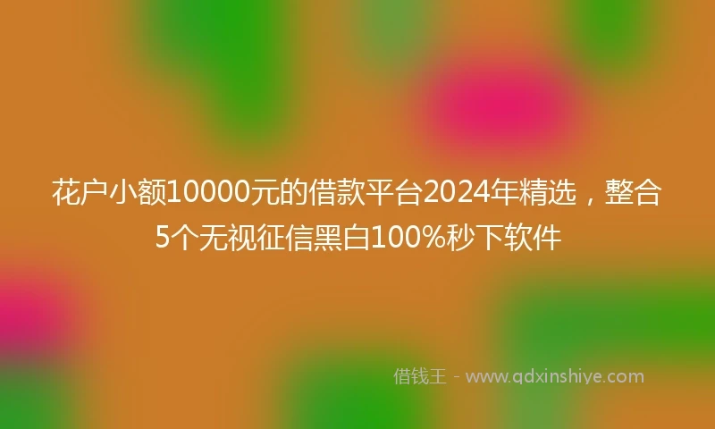花户小额10000元的借款平台2024年精选，整合5个无视征信黑白100%秒下软件