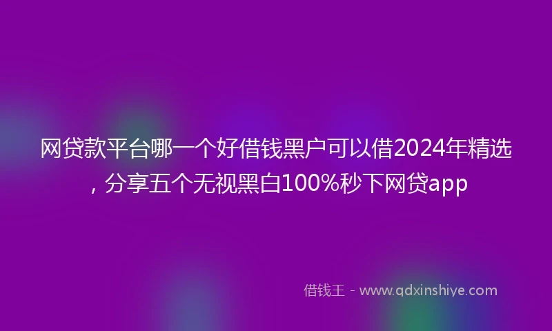 网贷款平台哪一个好借钱黑户可以借2024年精选，分享五个无视黑白100%秒下网贷app