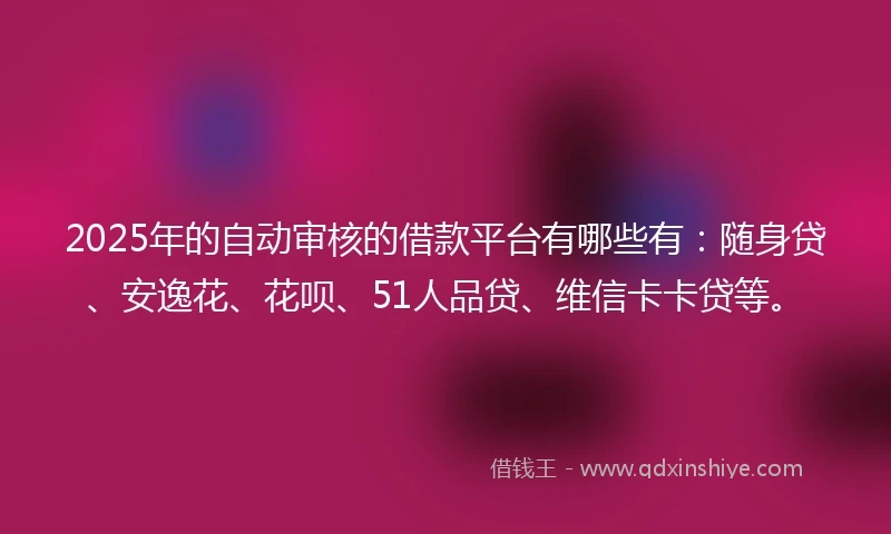 2025年的自动审核的借款平台有哪些有：随身贷、安逸花、花呗、51人品贷、维信卡卡贷等。