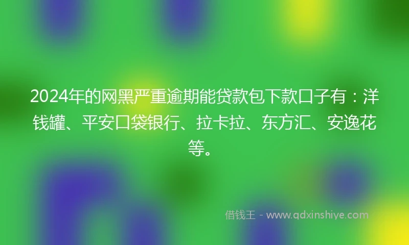 2024年的网黑严重逾期能贷款包下款口子有：洋钱罐、平安口袋银行、拉卡拉、东方汇、安逸花等。