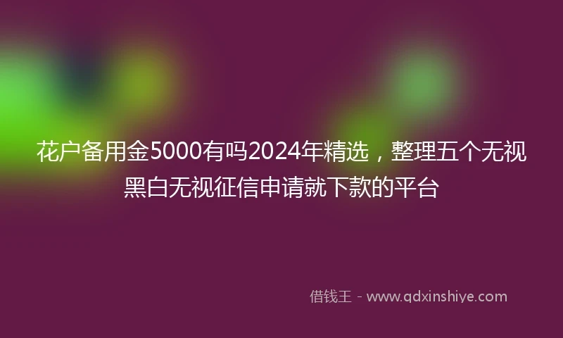 花户备用金5000有吗2024年精选，整理五个无视黑白无视征信申请就下款的平台