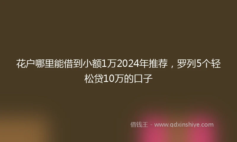 花户哪里能借到小额1万2024年推荐，罗列5个轻松贷10万的口子