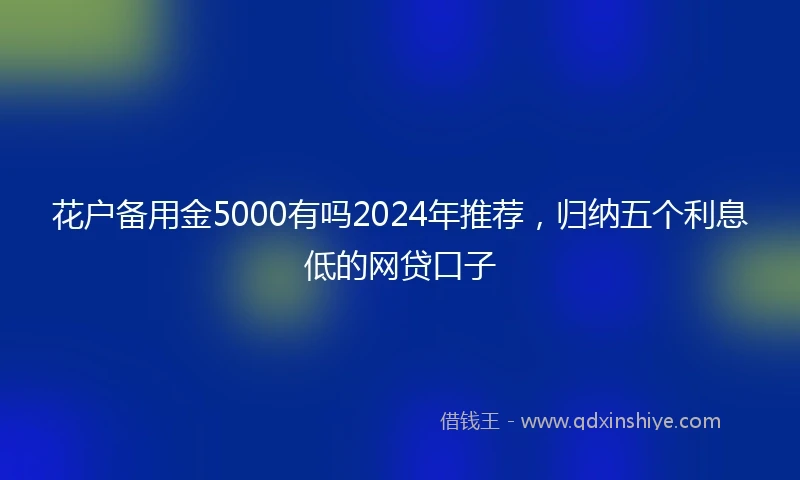 花户备用金5000有吗2024年推荐，归纳五个利息低的网贷口子