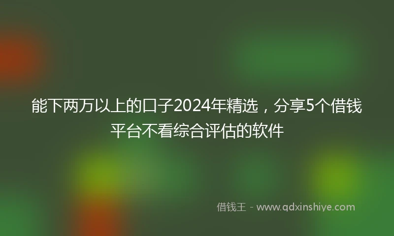 能下两万以上的口子2024年精选，分享5个借钱平台不看综合评估的软件