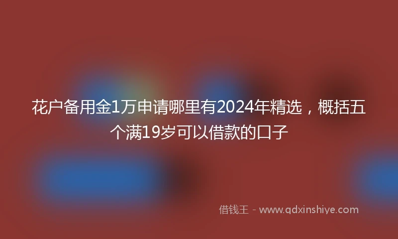 花户备用金1万申请哪里有2024年精选，概括五个满19岁可以借款的口子