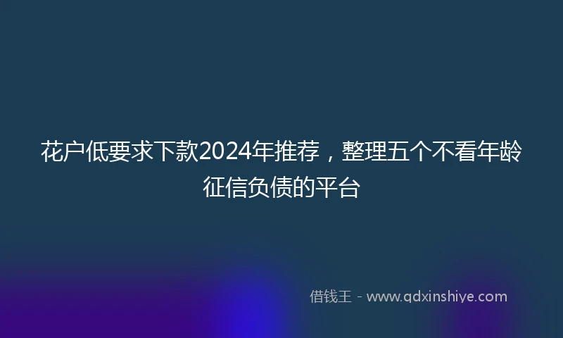 花户低要求下款2024年推荐，整理五个不看年龄征信负债的平台