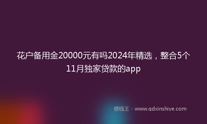 花户备用金20000元有吗2024年精选，整合5个11月独家贷款的app