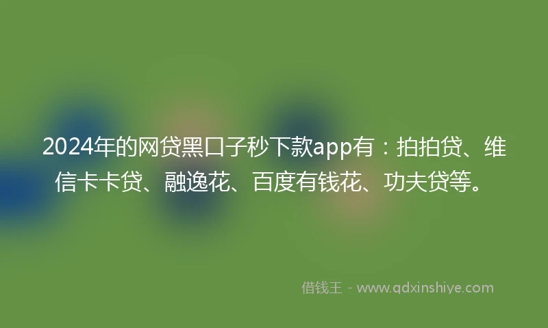 2024年的网贷黑口子秒下款app有:拍拍贷、维信卡卡贷、融逸花、百度有钱花、功夫贷等。