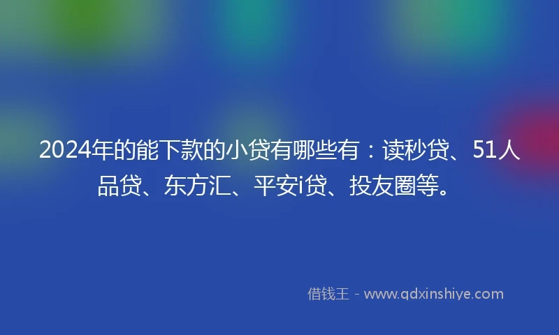 2024年的能下款的小贷有哪些有：读秒贷、51人品贷、东方汇、平安i贷、投友圈等。