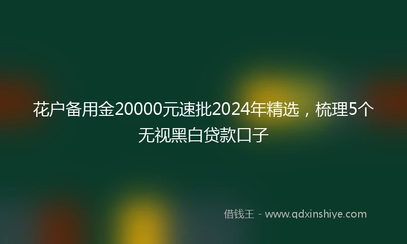 花户备用金20000元速批2024年精选，梳理5个无视黑白贷款口子