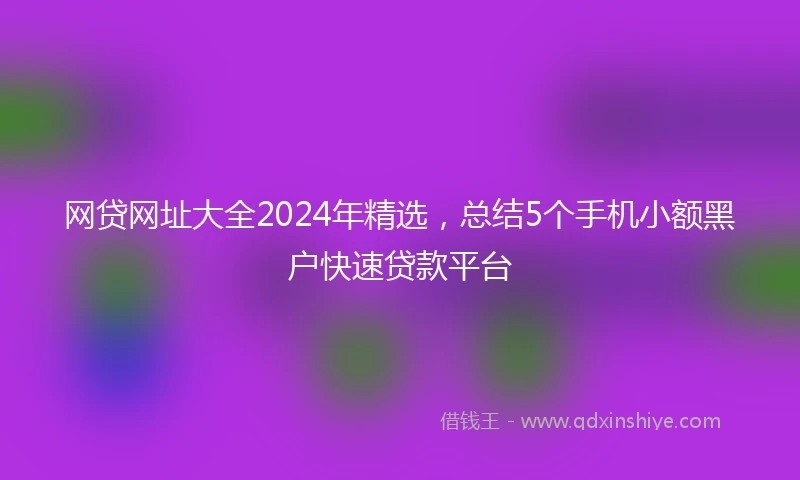 网贷网址大全2024年精选，总结5个手机小额黑户快速贷款平台