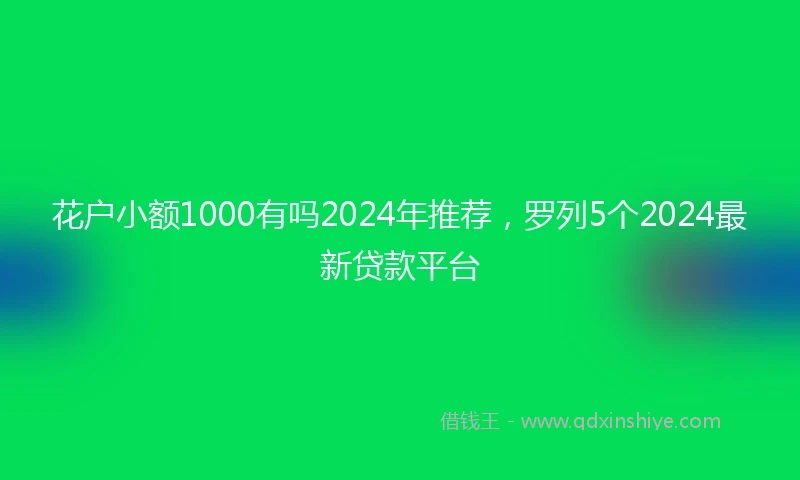 花户小额1000有吗2024年推荐，罗列5个2024最新贷款平台